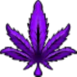 b_ancpurplemar