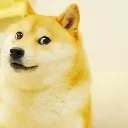 doge