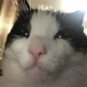 Land_kedimewing