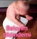 bakim