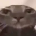 bruh