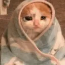 garibangedi
