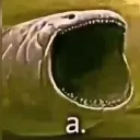 a_