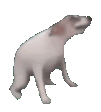 danskpke