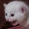 emoji_1