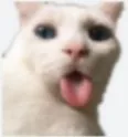 eww47
