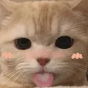 lunar_zzcat_tease