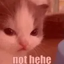 7ku_not_hehe