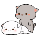 LapLap