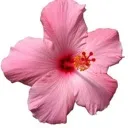 emoji_18