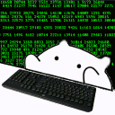 bongo_hacking