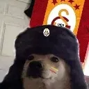 kpkegsli
