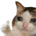 emoji_25