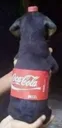 cola_kopek