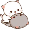 zilly_220
