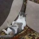 yasasinrahatlikkkk