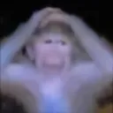 maymun