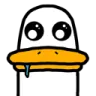 Duck_Fein