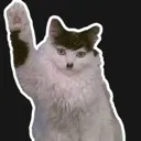 hi