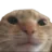 nebakiyon