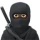 LL_ninja