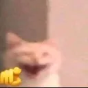 puajahha_leniglw