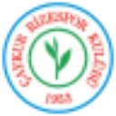 rizespor