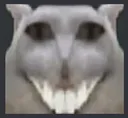 mistik_kedi