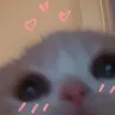 tatl_leniglw