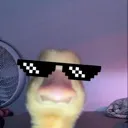 sigmrdek_leniglw
