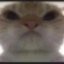emoji_29