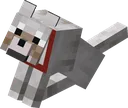 kopek