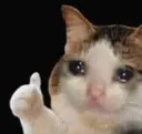 tmm_livesta