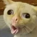 kuscam