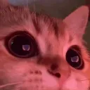 UuUuU