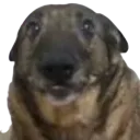 AROX_poncuk2