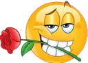 sanaglspa