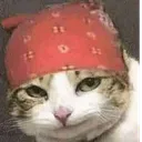 poticat