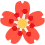 kirmizicicek