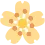 saricicek