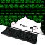 acatcodewriter