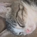 mrrr