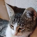 kdy