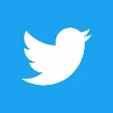 Twitter_lise