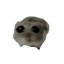nisquik