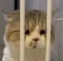 331c022c1d8a80a28441949176eb03de