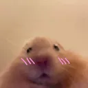 uwu