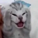 aaaaaa