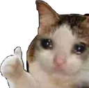okcat