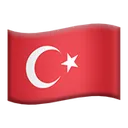 TurkBayragi2